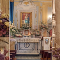 Atrani, pettirosso al Santuario di Santa Maria del Bando: simbolo di pace e speranza