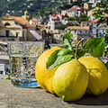Secondo il Financial Times lo Sfusato Amalfitano è tra i migliori limoni al mondo