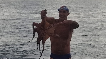 Polpo gigante attacca un bagnante ad Amalfi, quello che è accaduto ha dell'incredibile /foto /video