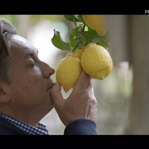 A PizzaDOC i limoni della Costa d'Amalfi protagonisti con Carlo De Riso e Costieragrumi