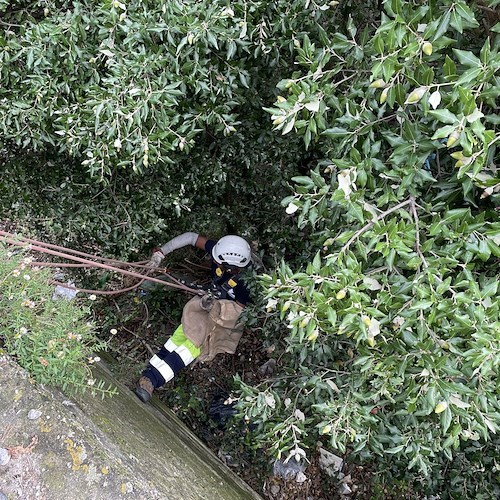 A Ravello iniziativa green in collaborazione con Legambiente e il supporto dei rocciatori di Cardine SRL /Foto