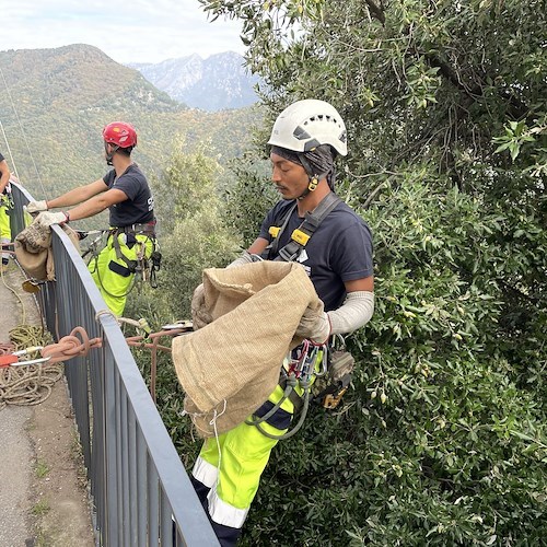 A Ravello iniziativa green in collaborazione con Legambiente e il supporto dei rocciatori di Cardine SRL /Foto