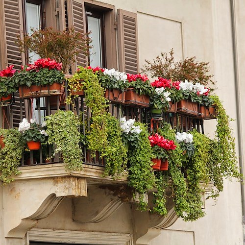 “Amalfi, Città in fiore”: al via la “contesa cortese” a chi abbellirà meglio gli scorci dell’Antica Repubblica Marinara