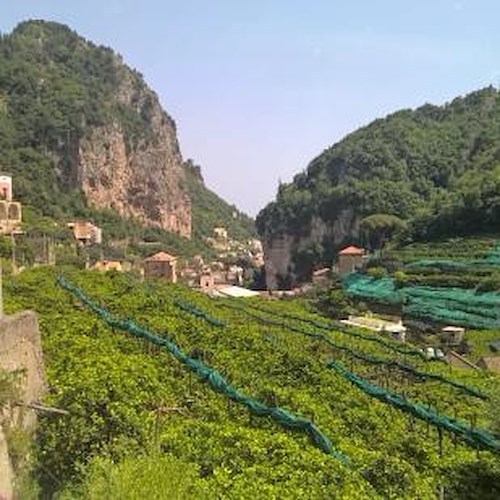 Amalfi entra nel Registro Nazionale dei Paesaggi Rurali Storici