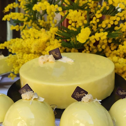 Amalfi, la Pasticceria Pansa propone due versioni della torta mimosa per la Festa della Donna
