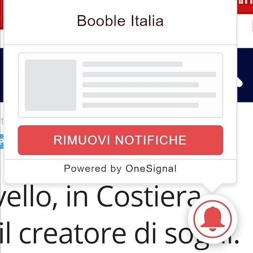 Come disattivare le notifiche One Signal dai nostri portali