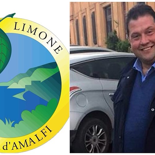 Consorzio Tutela Limone Costa d'Amalfi IGP: Angelo Amato confermato presidente