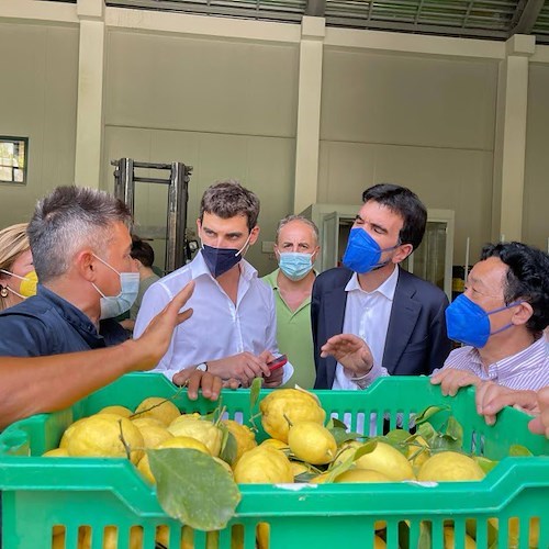Costieragrumi per la prima volta in tv, l'azienda protagonista di uno spot in onda su Mediaset 