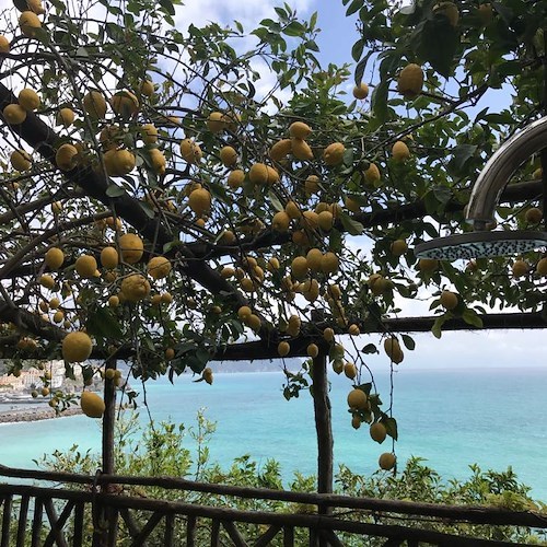 E' Amalfi una delle città sul mare più belle