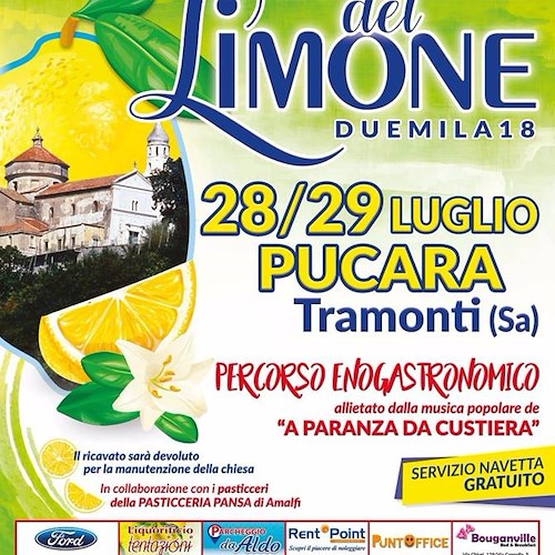 "Festival del Limone", 28-29 luglio Tramonti celebra l'oro della Costa d’Amalfi