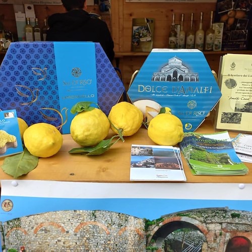 I limoni della Costa d'Amalfi conquistano Valdobbiadene grazie alla Proloco di Minori /Foto
