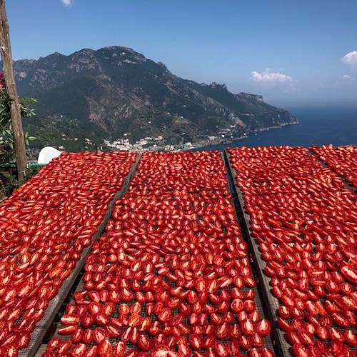 I pomodori essiccati al sole, una tradizione che racchiude tutto il gusto della Costa d’Amalfi 