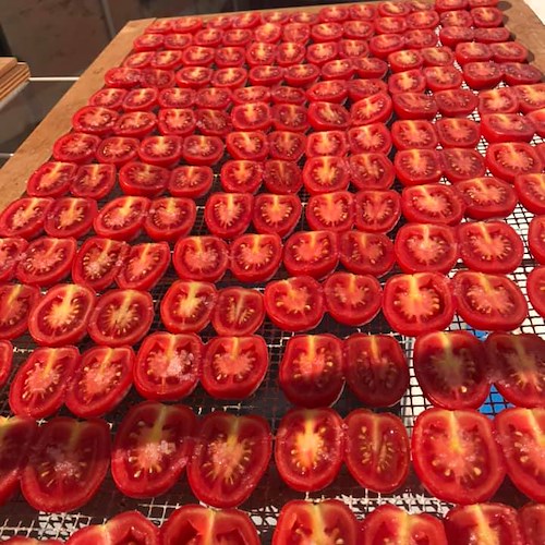 I pomodori essiccati al sole, una tradizione che racchiude tutto il gusto della Costa d’Amalfi 