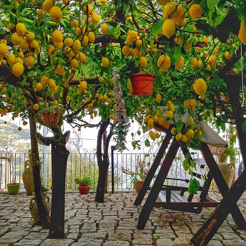 "In Keaton's Lemon Garden" una storia d'amore per il grande schermo girata in Costa d'Amalfi