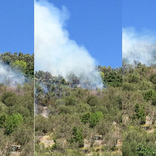 Incendio sulle montagne di Massa Lubrense /Foto /Video