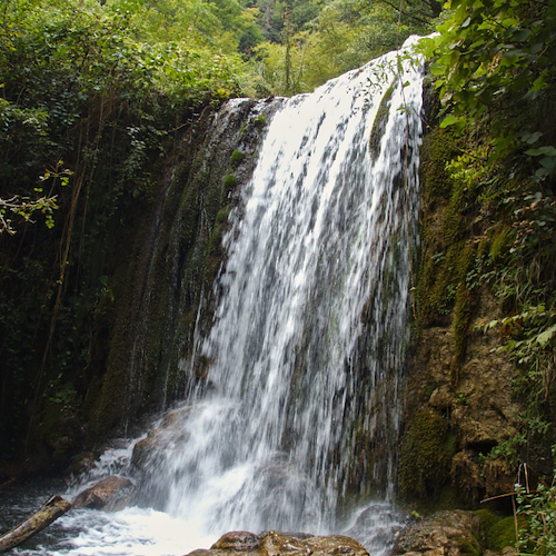 La Valle delle Ferriere ad Amalfi, uno scrigno di storia e biodiversità