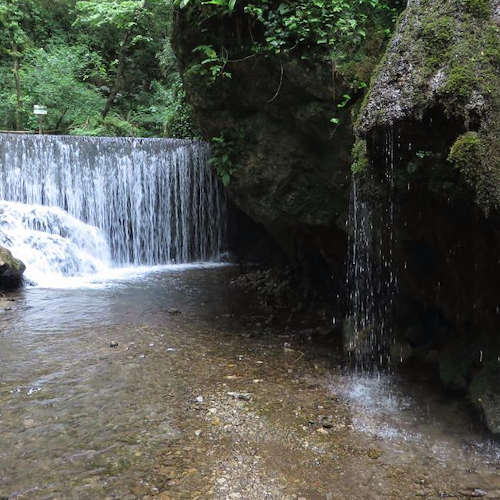 La Valle delle Ferriere ad Amalfi, uno scrigno di storia e biodiversità