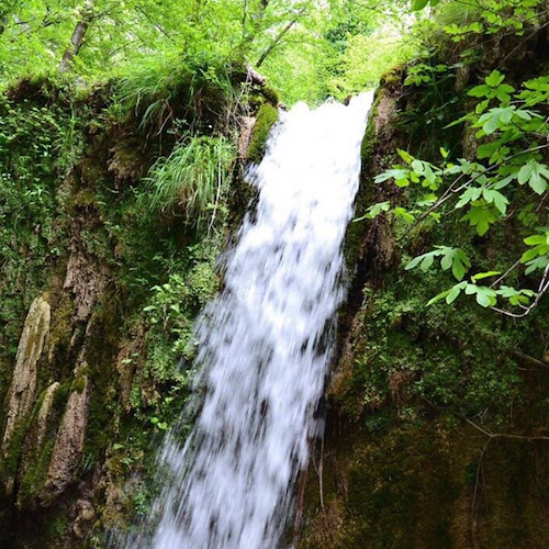 La Valle delle Ferriere ad Amalfi, uno scrigno di storia e biodiversità