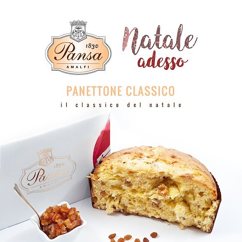 "Natale adesso", ad Amalfi la Pasticceria Pansa anticipa gli ordini online per i propri panettoni artigianali