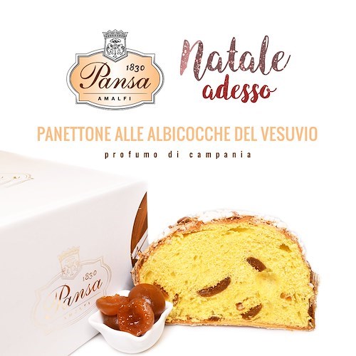 "Natale adesso", ad Amalfi la Pasticceria Pansa anticipa gli ordini online per i propri panettoni artigianali