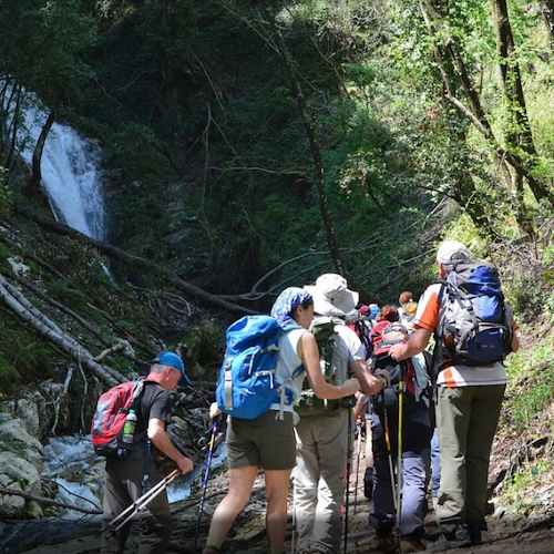 Per la "Festa della Natura in città" del WWF in Costa d'Amalfi un'escursione guidata alla Valle delle Ferriere