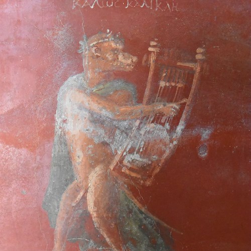 Pompei, il rinvenimento degli arredi della domus del "Larario" nella Regio V 
