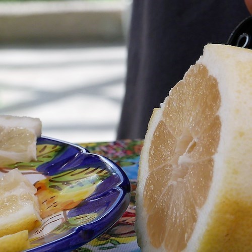 Quando il limoncello diventa un attrattore turistico: i corsi per realizzare il più buono con Valentì a Positano /foto