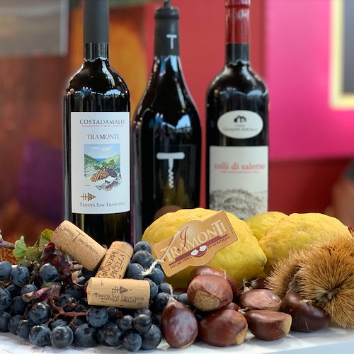 Tramonti incanta i buyer del TTG Rimini con i vini e i salumi locali /FOTO
