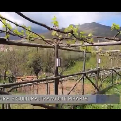 Tramonti riparte dalla natura e dalla cultura, il servizio su Tg3 Campania /VIDEO