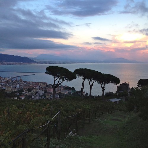 "Voci dall'Inferno": giovedì 22 luglio a Vietri sul Mare si celebra Dante in vigna