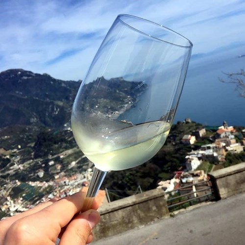 “Wine meeting in Amalfi Coast”, appuntamento a Ravello per gli amanti del buon vino campano